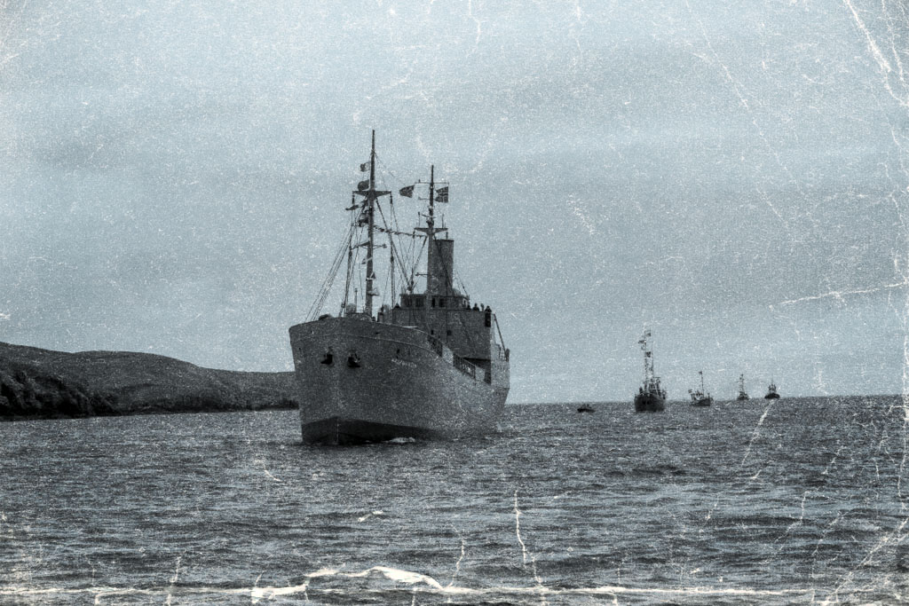 The D/S Hestmanden